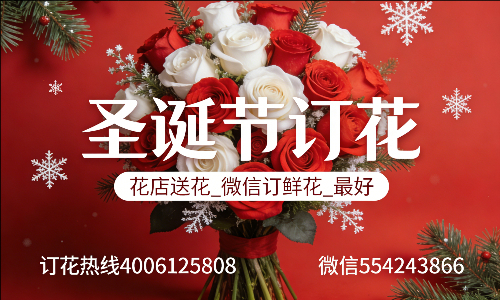 梧州蝶山区花店送花_微信订鲜花_圣诞节订花_最好? 梧州蝶山区花店